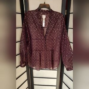 Sheer Blouse with Nice Details